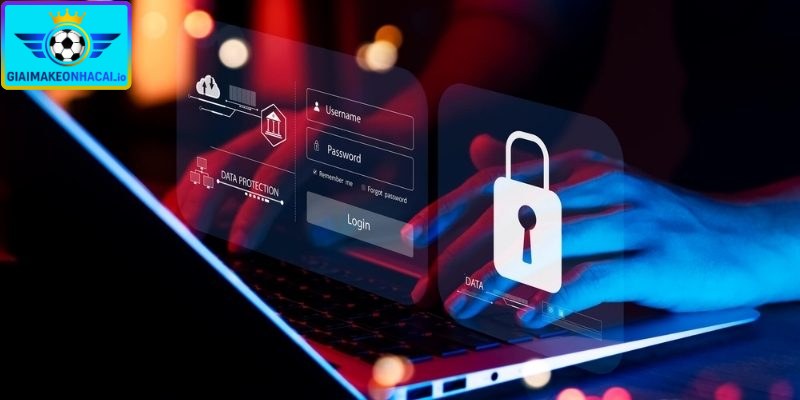 Rủi ro cho người dùng vi phạm chính sách bảo mật web